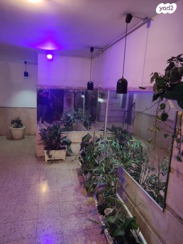 דירה, אלי כהן 30, נאות רחל, חולון