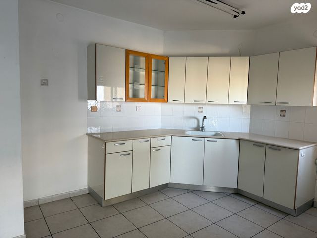 אריה דולצ'ין 4