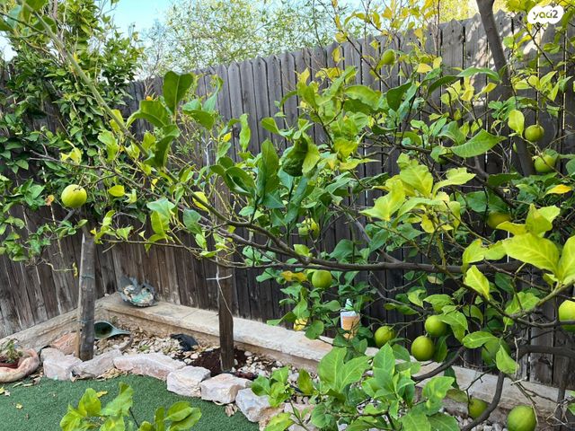 דופלקס, יפה נוף 707, כוכב יעקב, כוכב יעקב