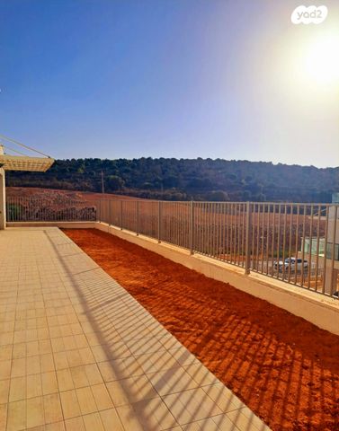 דירת גן, אלמוג 1, שאר העיר, אריאל