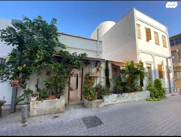 חיים חבשוש 13