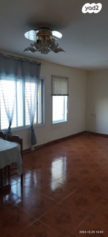 דוד רזיאל 26