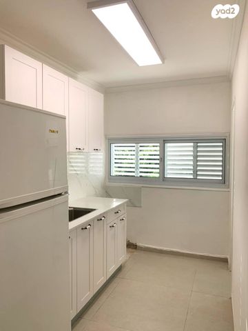 מעפילי אגוז 46