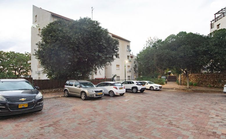 מעפילי אגוז 