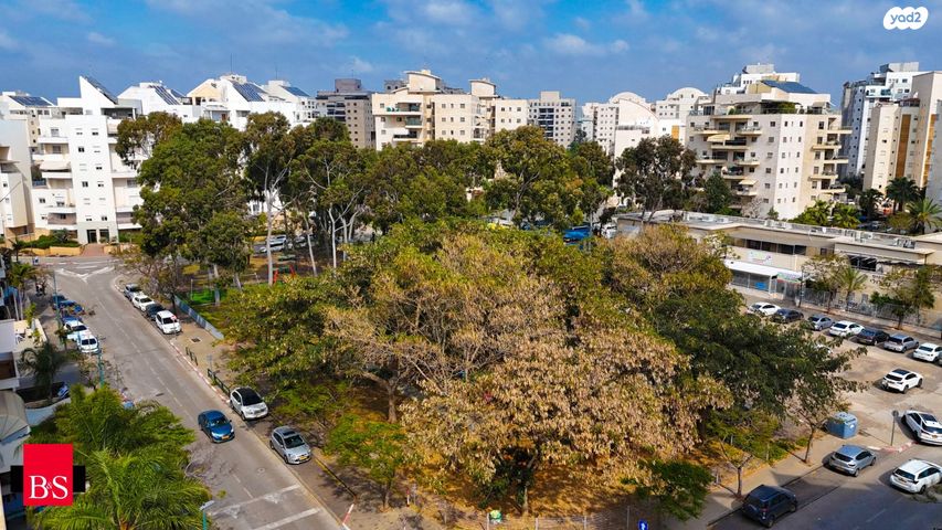 דירה, הגולן, קרית השרון, נתניה