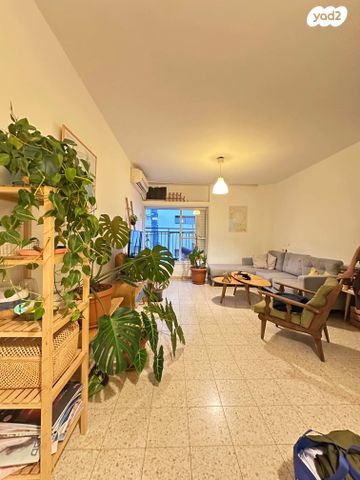 ברנשטיין כהן 