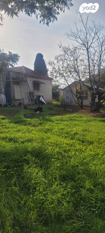 משק חקלאי/ נחלה, שדה ורבורג