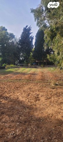 משק חקלאי/ נחלה, שדה ורבורג