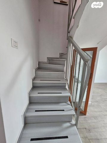 דירה, אורן, אלמוגים, קרית ים