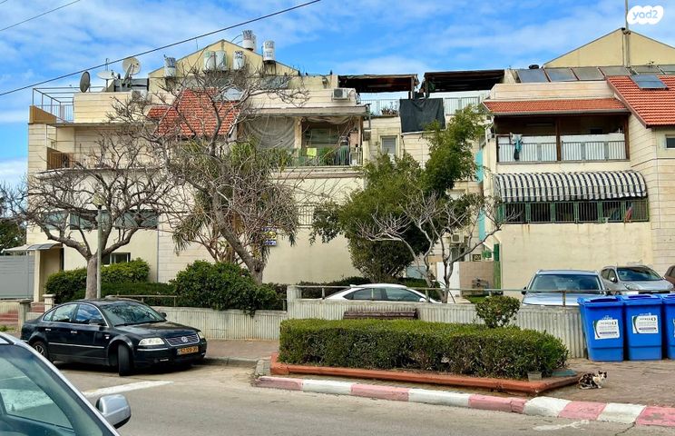 אירוס הארגמן 