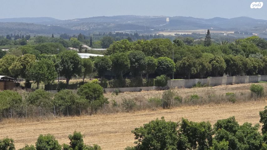 דירה, הזמיר, נהריה הירוקה, נהריה