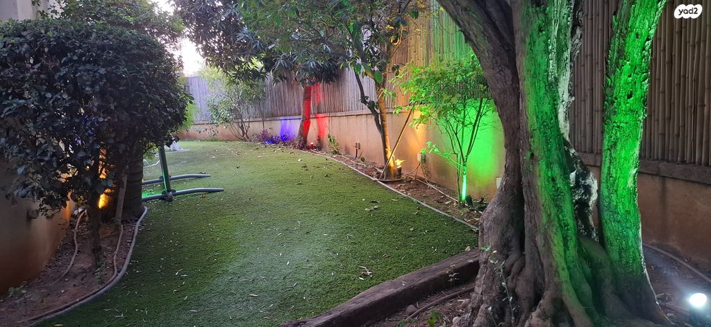 שלמה מיכואלס 25