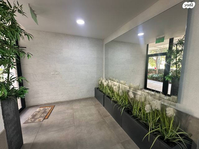 דירה, פועלים א, כפר סבא