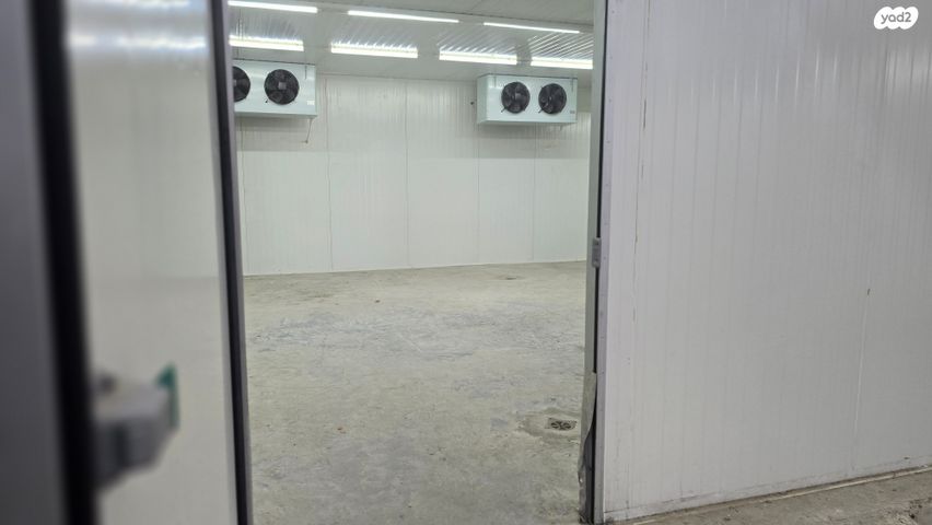 סטארטסיב / רמת סיב