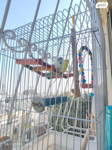 תמונת מודעה - חיות מחמד