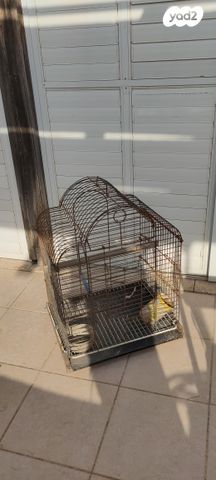 תמונת מודעה - חיות מחמד