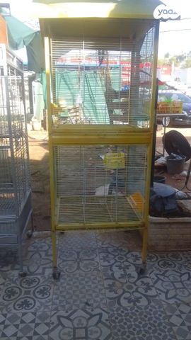 תמונת מודעה - חיות מחמד