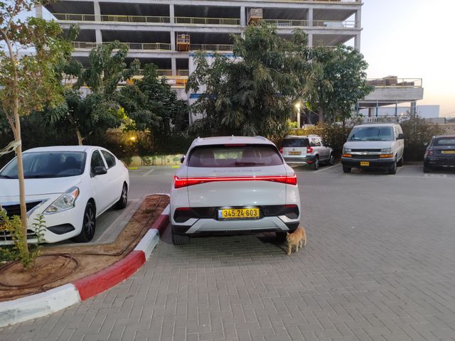 מודעת רכב בי.ווי.די אטו 3