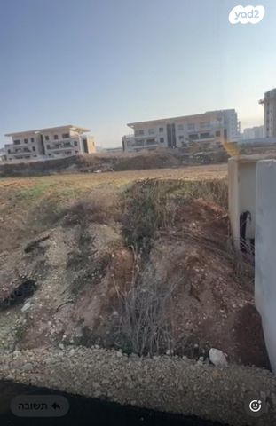 יהדות טוניסיה 1