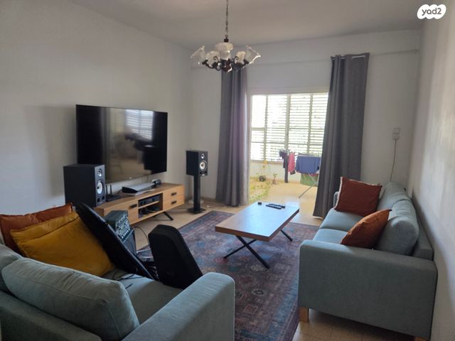 דוד וולפסון 46