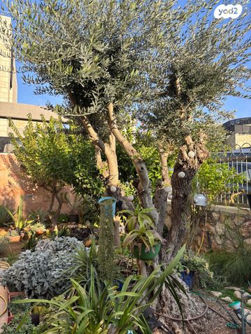 בית פרטי/ קוטג', הזית 21, הר גילה, הר גילה