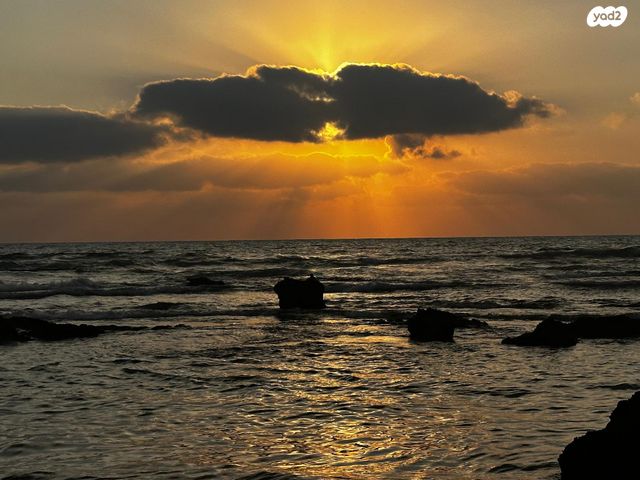 גבעת הלבונה 18