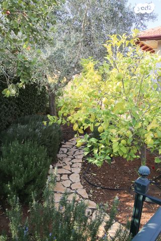 חיים משה שפירא 30