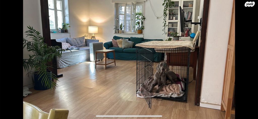 דירת גן, גדעון 22, בקעה, ירושלים