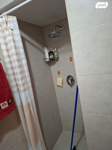 דוד רזיאל 17