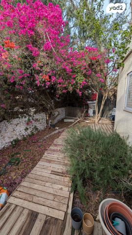 בית פרטי/ קוטג', הברוש 1, שדה צבי, שדה צבי