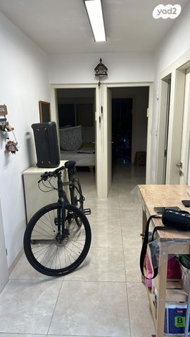 מעגלי יבנה 3