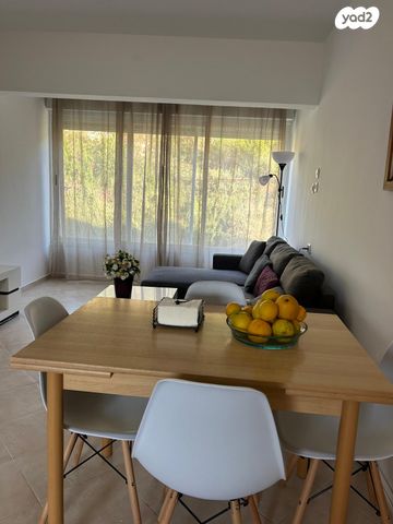 יאיר שטרן 17