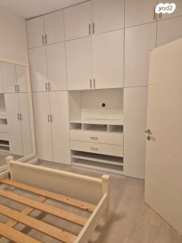 זלמן שניאור 29