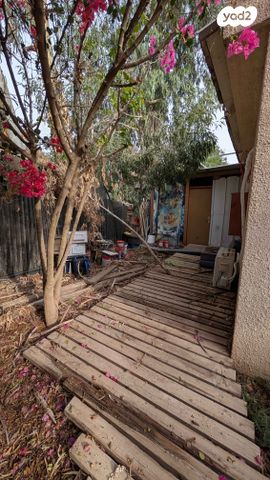 בית פרטי/ קוטג', הברוש 1, שדה צבי, שדה צבי