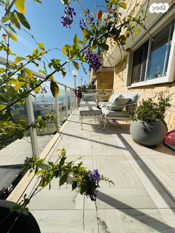 דירה, אחוזה, חיפה