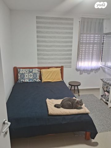 דירה, הורד, הורד, מגדל העמק