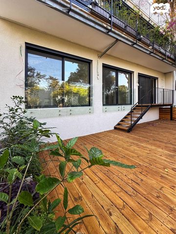 דירת גן, מרכז הכרמל, חיפה