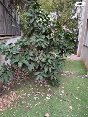 דירת גן, גני צהלה, רמות צהלה, תל אביב יפו