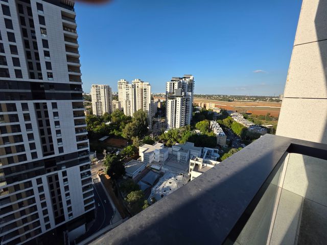 ראול ולנברג 