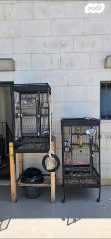 תמונת מודעה - חיות מחמד