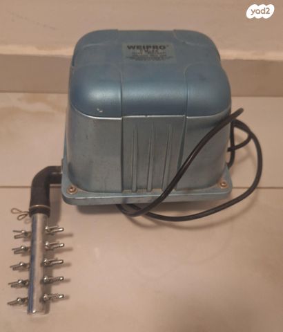 תמונת מודעה - חיות מחמד