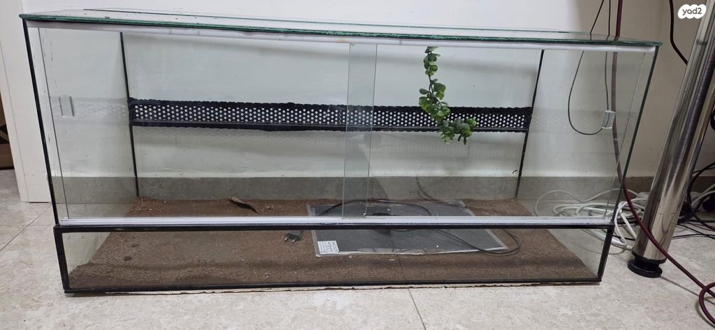 תמונת מודעה - חיות מחמד