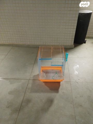 תמונת מודעה - חיות מחמד