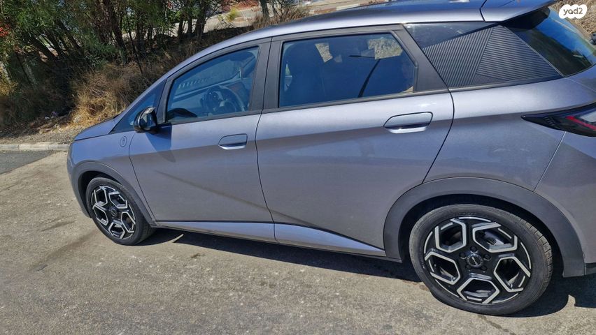 בי.ווי.די דולפין