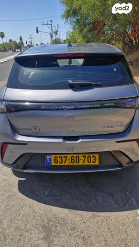 בי.ווי.די דולפין