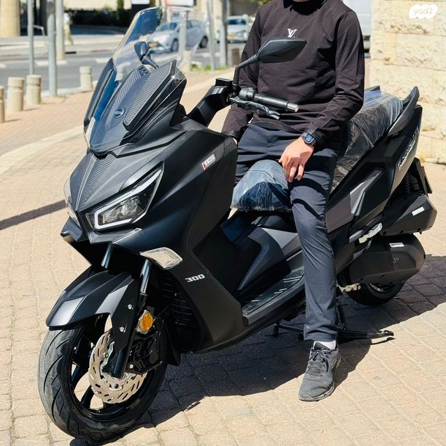 סאן יאנג ג'וי-מקס Z-300