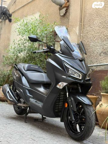 סאן יאנג ג'וי-מקס Z-300