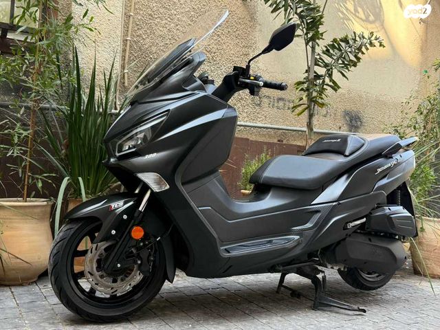 סאן יאנג ג'וי-מקס Z-300