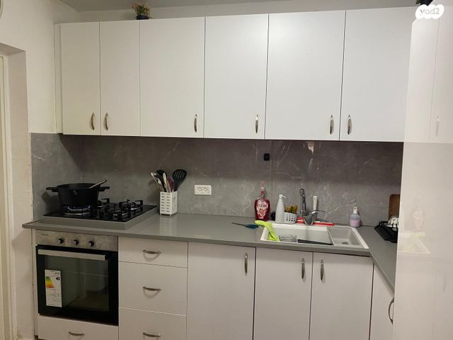 מנדלי מוכר ספרים 8