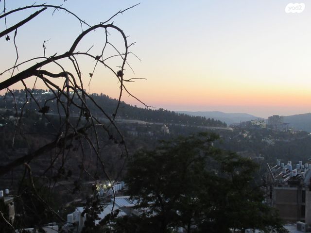 הרב חיים חביב 3